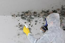 Mold Documentation for Insurance Claims in Arnold Line, MS